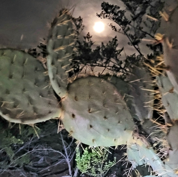 Meet your Posher, Sarah - Picture 8 of 8